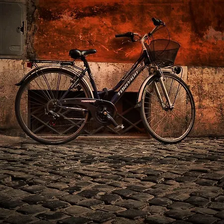 Colosseo Luxury 公寓 罗马